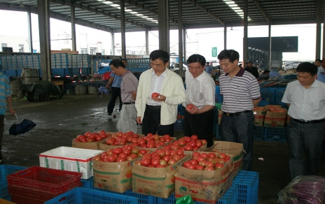 2011年6月嘉興市委常委、市政府常務副市長蔣唯民一行蒞臨蔬菜市場視察菜籃子供應工作
