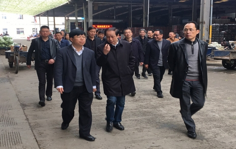 2017年3月16日下午，嘉興市委常委、常務(wù)副市長樓建明帶領(lǐng)市級相關(guān)部門負責(zé)人視察嘉興蔬菜批發(fā)市場