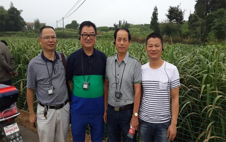 2014年8月，中國蔬菜流通協(xié)會會長戴中久與公司、市場領(lǐng)導(dǎo)一起考察蔬菜基地