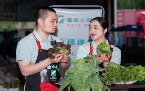 千金如玉，一口清心--生菜?油麥菜?萵筍直播專場